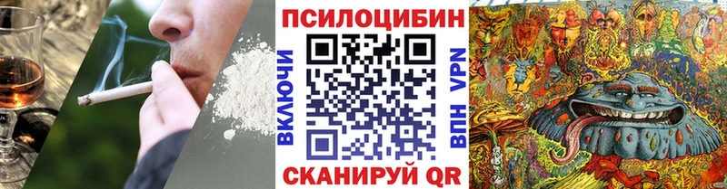 где можно купить   Можайск  Галлюциногенные грибы мухоморы 